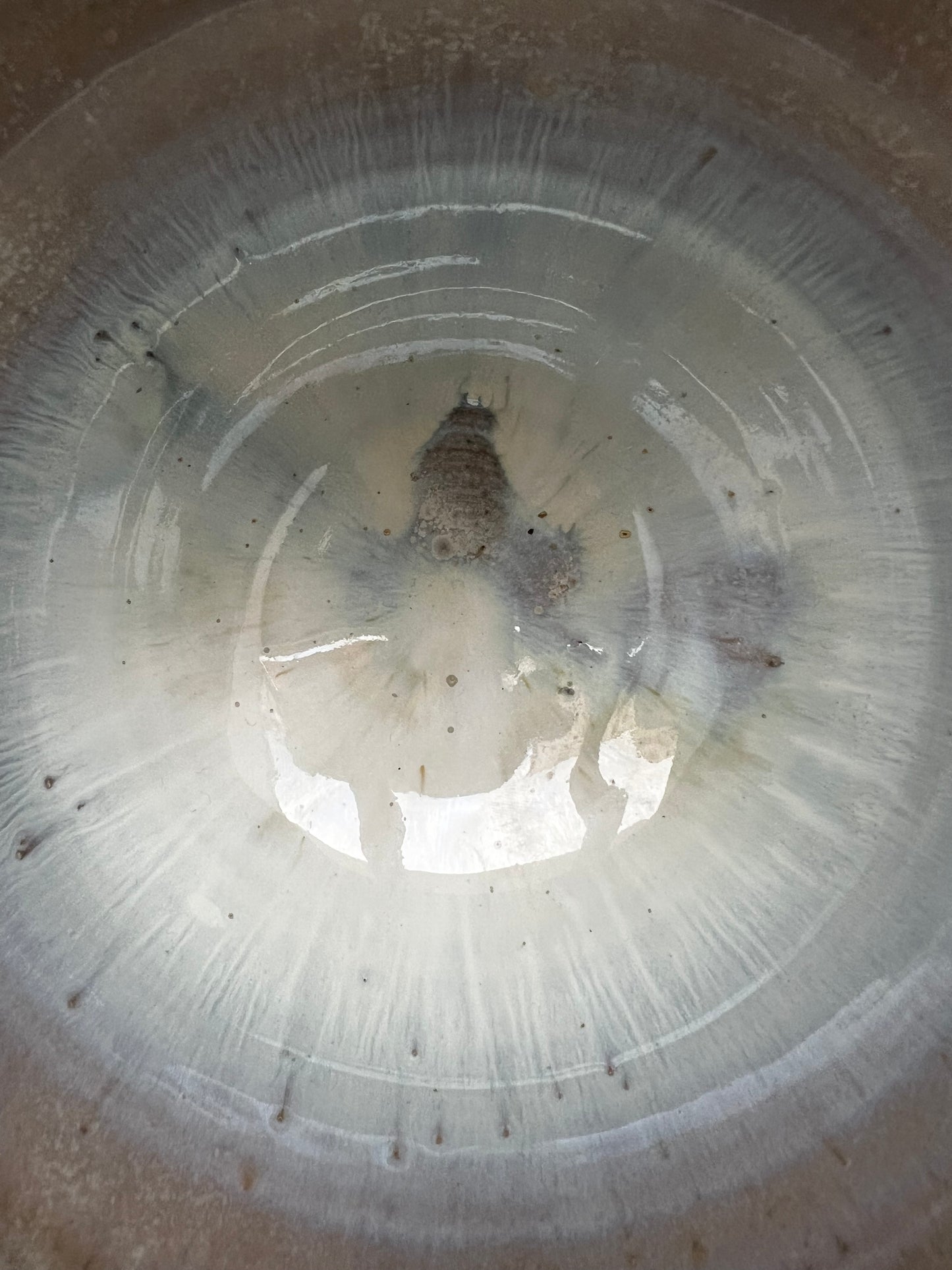 Bol « First Tide » - Nucléation 1